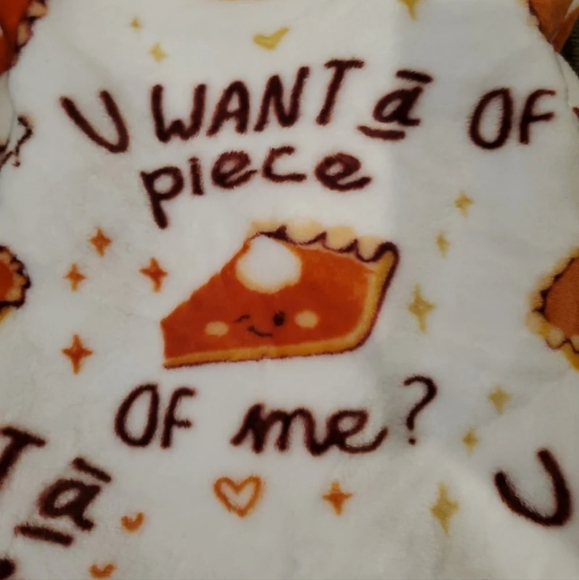 Fun and Rare Pumpkin Pie Blanket-NWT - Picture 3 of 5